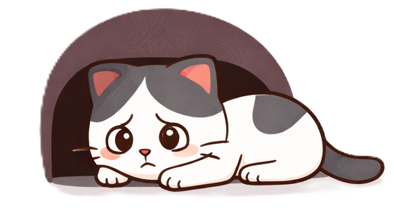 Blog chat stressé après déménagement